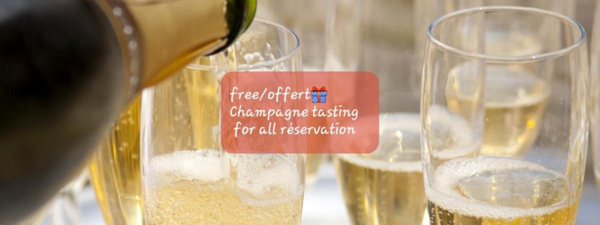 Les Loges Du Theatre Degustation Champagne Offerte Jacuzzi Sauna Jeux Velos Maison Prive 150M2 Historique 14Pers Max Emplacement Exceptionnel Et Chic, 200M De L'Avenue De Champagne, Gare, Musee, Jardins, Restaurations, Toutes Commodites เอแปร์เน ภายนอก รูปภาพ